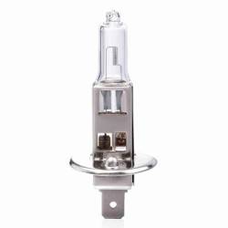 Bec H1 12V/55W, 01484 Amio