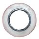 Simering ( garnitura ) cu metal la rulment 6310 lagar disc GDU 3.2  BD50, 101.65.167 UTB 