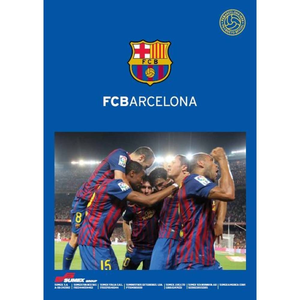 Parasolar 145 x 80 aluminiu pliabil F.C.Barcelona FCB0030 Sumex