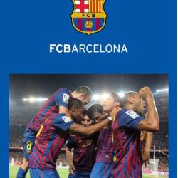Parasolar 145 x 80 aluminiu pliabil F.C.Barcelona FCB0030 Sumex