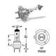 Bec H7 24V/70W 1471 Vecta