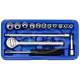 Set chei tubulare 4-13, 17 bucati si clichet, 408.00 Alca