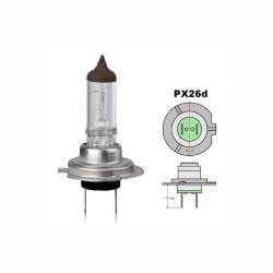 Bec H7, 12V 55W PX26D, 2614 Vecta