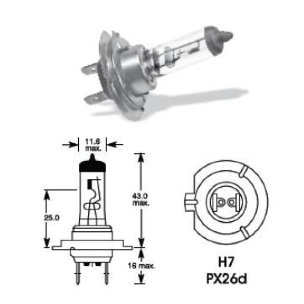 Bec H7 12V/55W, 01156 AMIO  