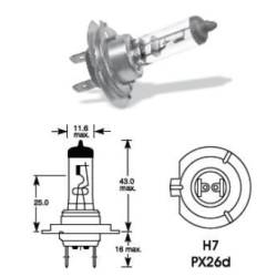 Bec H7 12V/55W, 01156 AMIO  