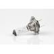 Bec H7 12V/55W, 01156 AMIO  