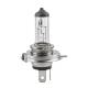 Bec H4 12V 60/55W P43, 01268 Amio