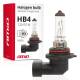 Bec halogen HB4, 12V, 55W, P22D, Amio 1480