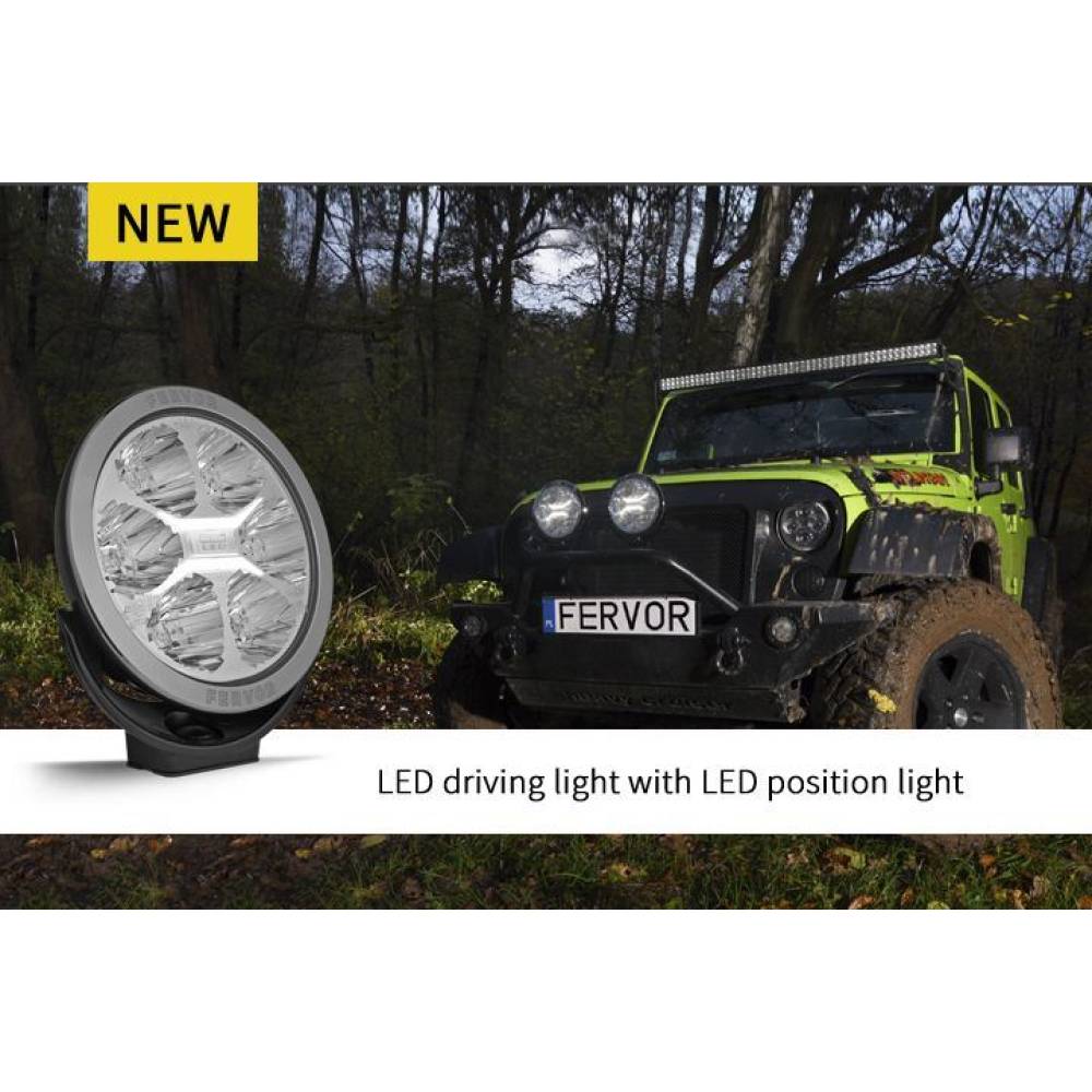 Proiector faza lunga fi180, cu LED, cu pozitie si aparatoare, sticla clara, LC25, Silver Edition, FERVOR 180 LUM2. 51200 Wesem