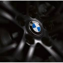 Set ornamente capace roti adezive fi 55 BMW 5249B Automax