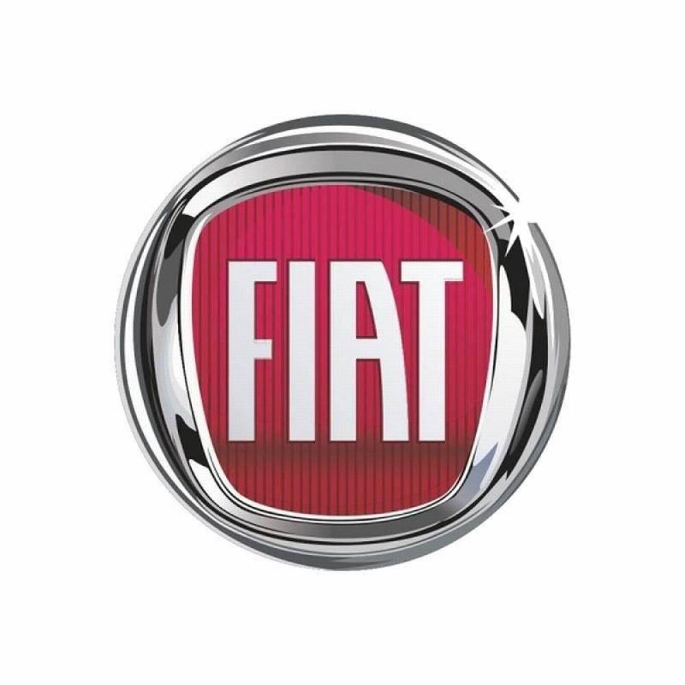 Set ornament capace roti rasina, autoadeziv, Fiat, fi55, ZP0248c Automax