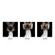 Colier 2 urechi TwoEar 13-15, set punga 10 bucati, Mikalor 03012160 Colier 2 urechi TwoEar 13-15, set punga 10 bucati, Mikalor 03012160