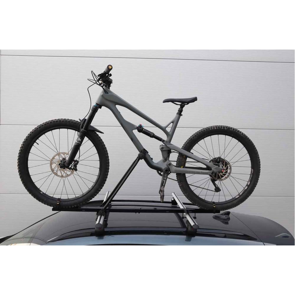 Suport bicicleta pentru plafon auto 02588 Amio