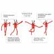 Odorizant auto premium, Flex Line, Tvister Maranello, V11182 Vinove