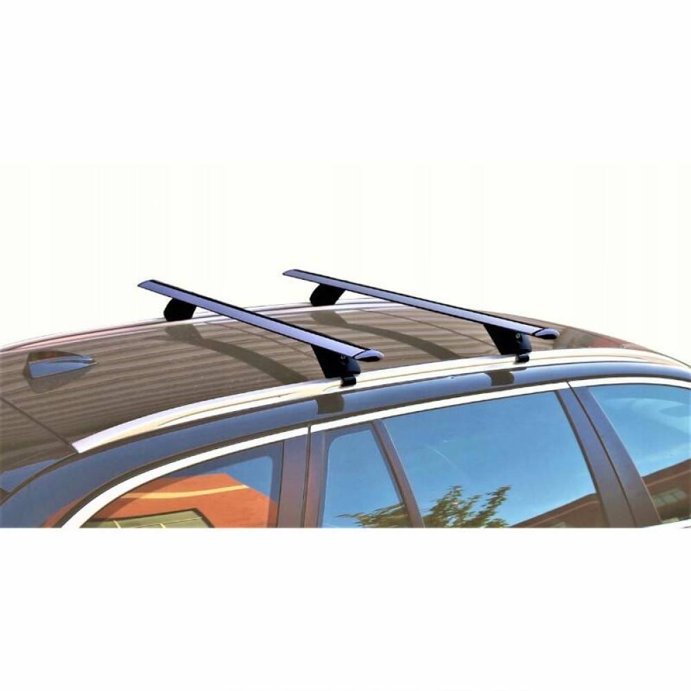 Set bare portbagaj transversale, 120cm, cu prindere pe bare longitudinale, CRR-03 03151 Amio