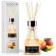 Odorizant camera cu betisoare, 100ml, Mango, Vannyo Vanesica