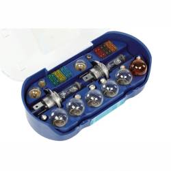 Caseta becuri H4, 12V 55W, cu sigurante, 30 de elemente, 86993 Vision