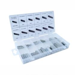 Trusa pene tip I, 60 piese, 86447 Carmotion 