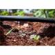 Tub picurare apa fi16mm, distanta intre picuratori 30cm, debit 4L pe ora, rola 50m, BK78357