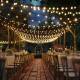 Ghirlanda luminoasa solara, 15 becuri LED, 7.5m, aplicatie bluetooth, G40 11743 Garden of Eden