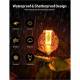 Ghirlanda luminoasa solara, 15 becuri LED, 7.5m, aplicatie bluetooth, G40 11743 Garden of Eden