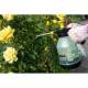Pompa stropit manuala, atomizor 2L, cu presiune, AquaSprayClear, AS0200CL Bradas 