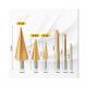 Set 6 burghie, 3 cu tarod, 4-12/20/32mm, 3 burghie fierastrau 3, 6, 8mm, AKC8143 Set 6 burghie, 3 cu tarod, 4-12/20/32mm, 3 burghie fierastrau 3, 6, 8mm, AKC8143