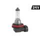 Bec H11, 24V/70V, VISION 58869