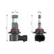 Set 2 becuri HB4, Led CSP, 12V, 60W, 5600lm, 6000K, Canbus, Hybrid Amio 04118