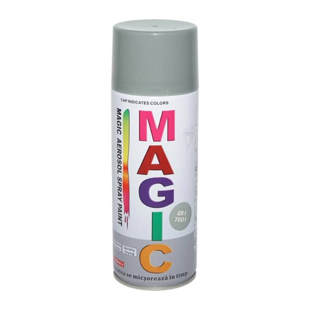 Spray vopsea, 450 ml, Magic Gri 7001
