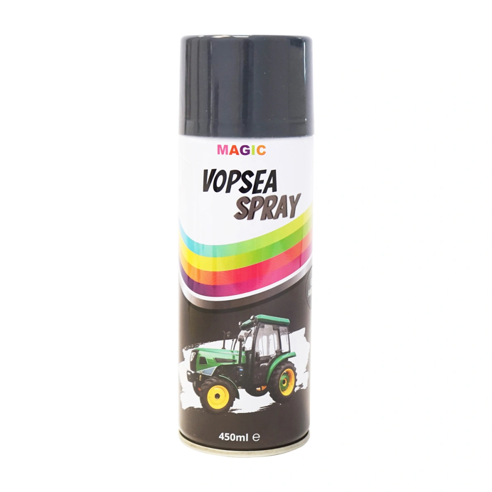 Spray vopsea 450ml Gri RAL Antracit, profesionala cu uscare rapida BK839999