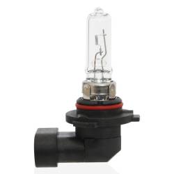 Bec halogen HB3, 12V 65W, P20D, Amio 01479