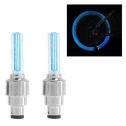Ornament capacele valva cu LED albastru, auto, moto, velo, set 2 bucati, QMZ-03-blu