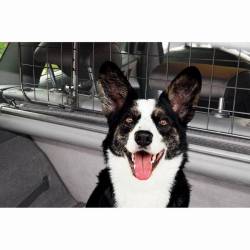 Grilaj separator portbagaj, prindere pe tetiera, pentru caini, Dog Guard, DOG20RN SwissDrive