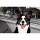 Grilaj separator portbagaj, prindere pe tetiera, pentru caini, Dog Guard, DOG20RN SwissDrive